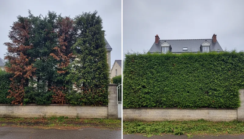 Équipe Élagage Essonne en intervention
